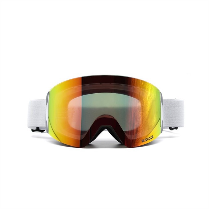 Ochelari de schi All Weather
